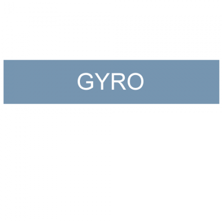 Gyro