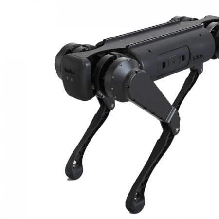 B1 Quadruped Robot