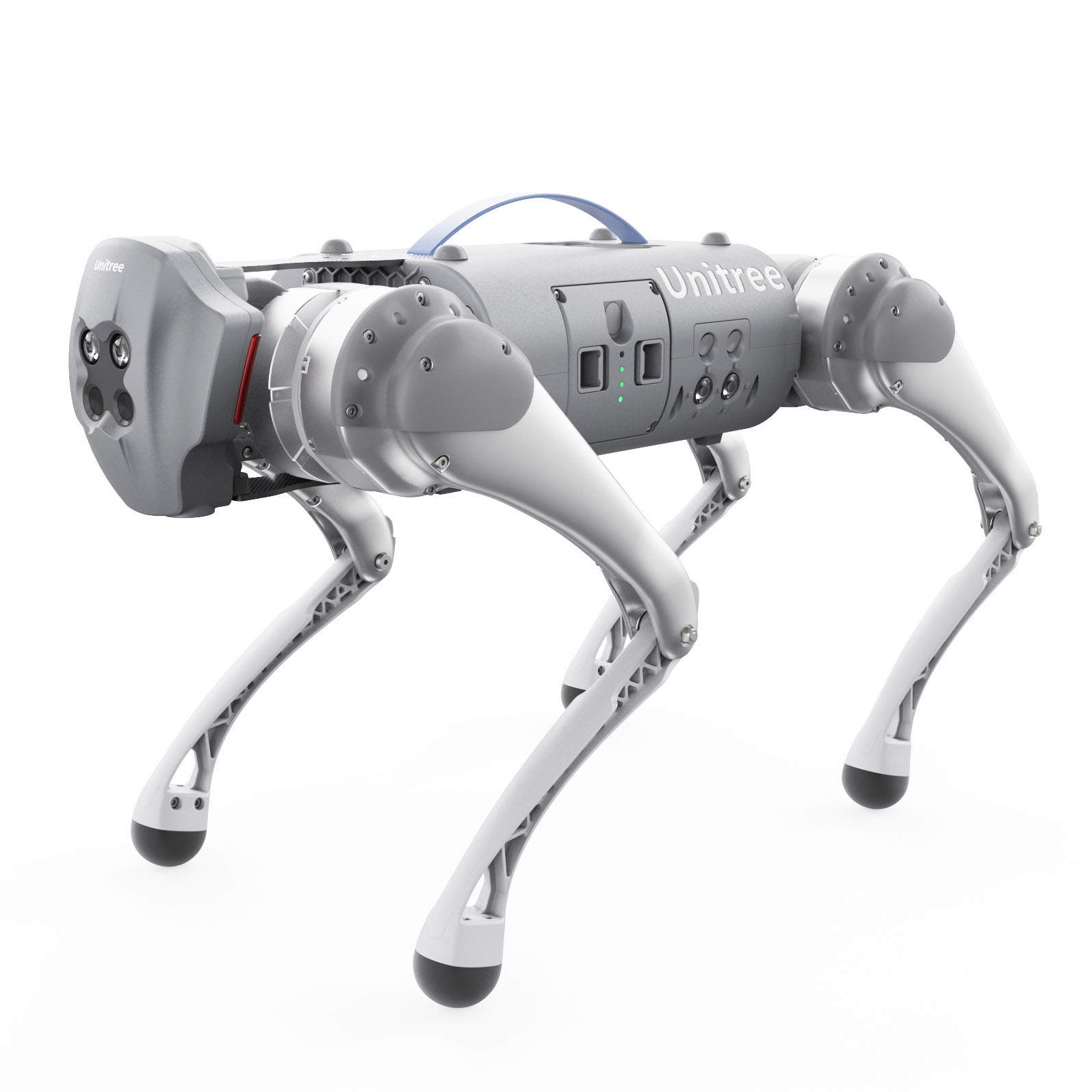 Go1 Quadruped Robot